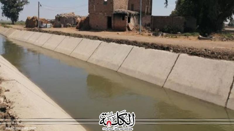 بوابة الكلمة
