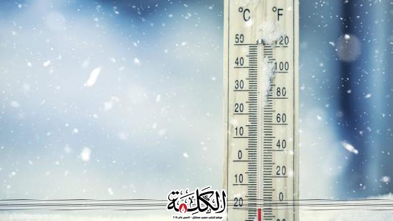 بوابة الكلمة