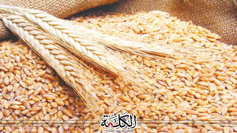 بوابة الكلمة