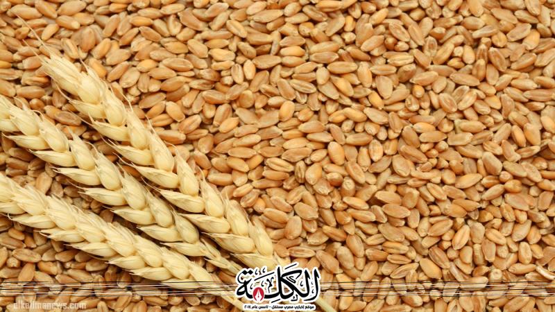 بوابة الكلمة