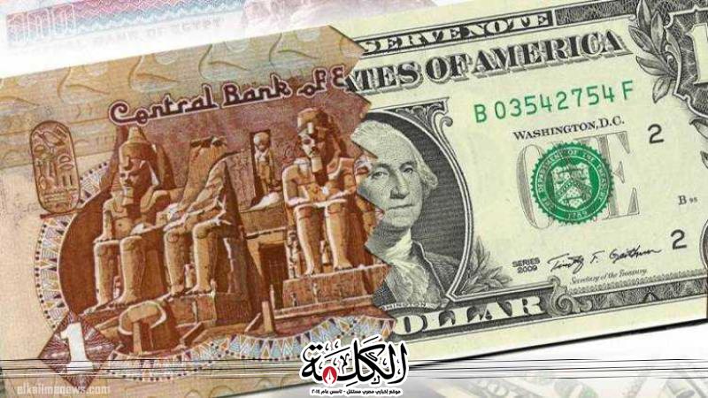 بوابة الكلمة