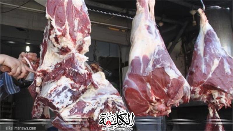 بوابة الكلمة