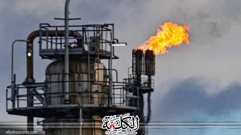 بوابة الكلمة