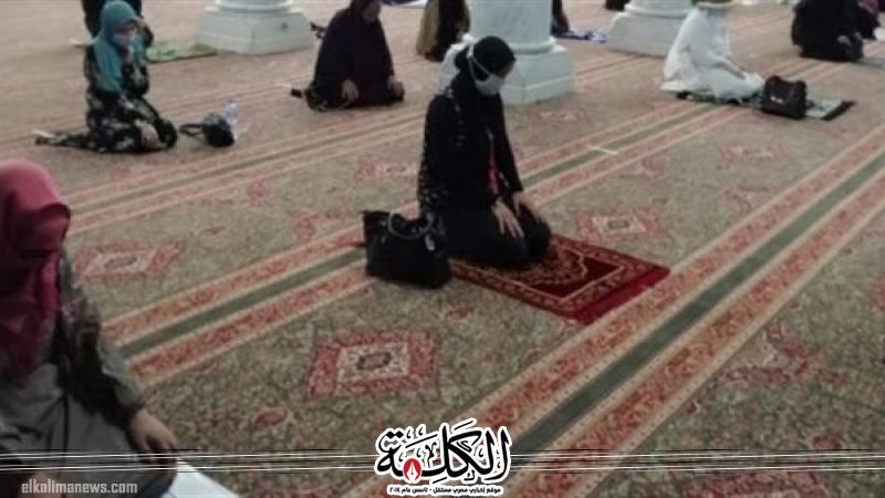 بوابة الكلمة