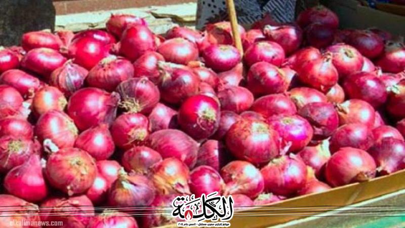 بوابة الكلمة