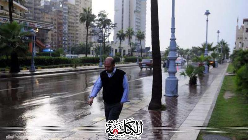 بوابة الكلمة