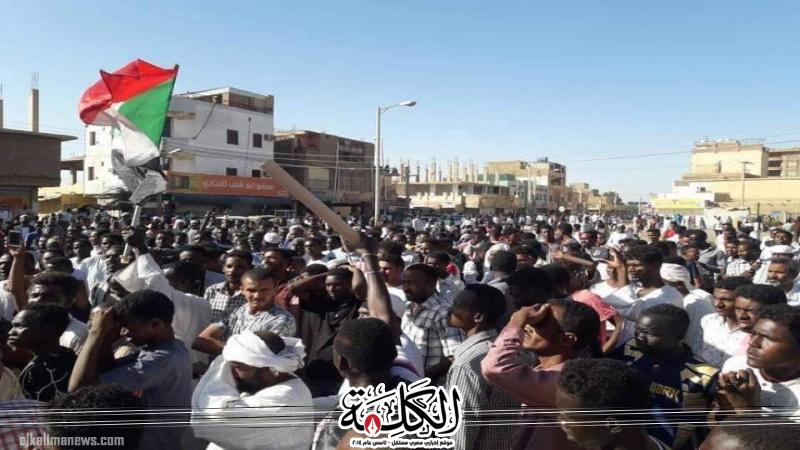بوابة الكلمة