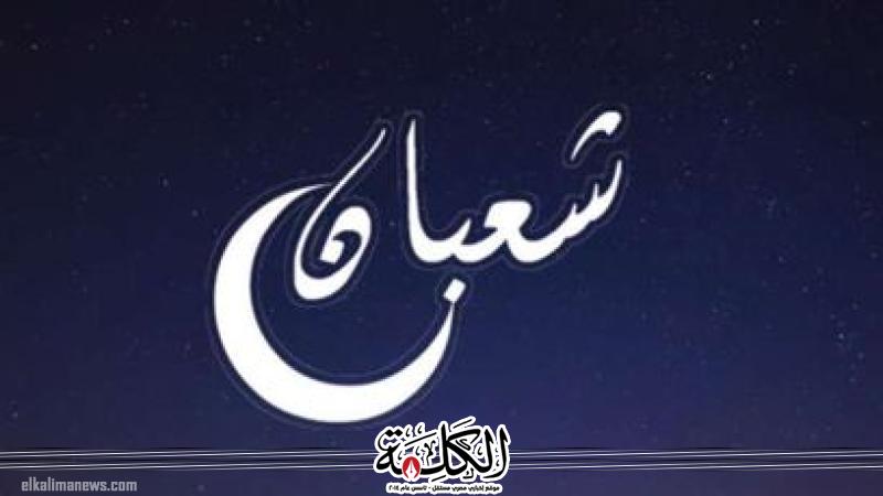 بوابة الكلمة
