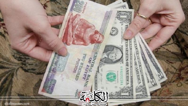 بوابة الكلمة