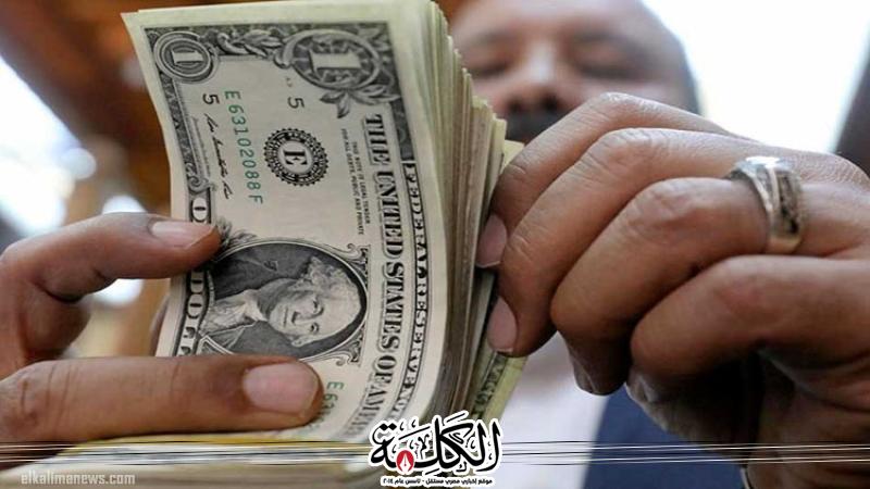 بوابة الكلمة