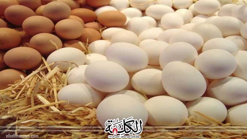 بوابة الكلمة