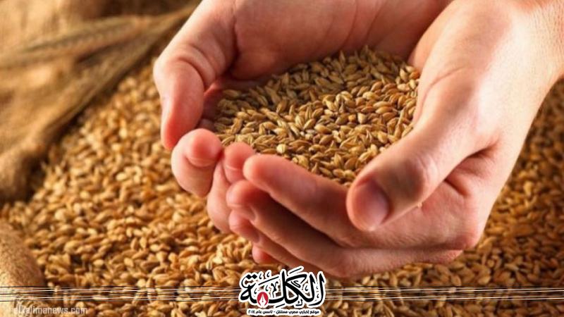 بوابة الكلمة