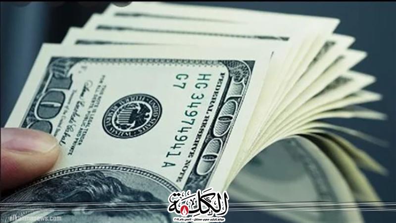 بوابة الكلمة