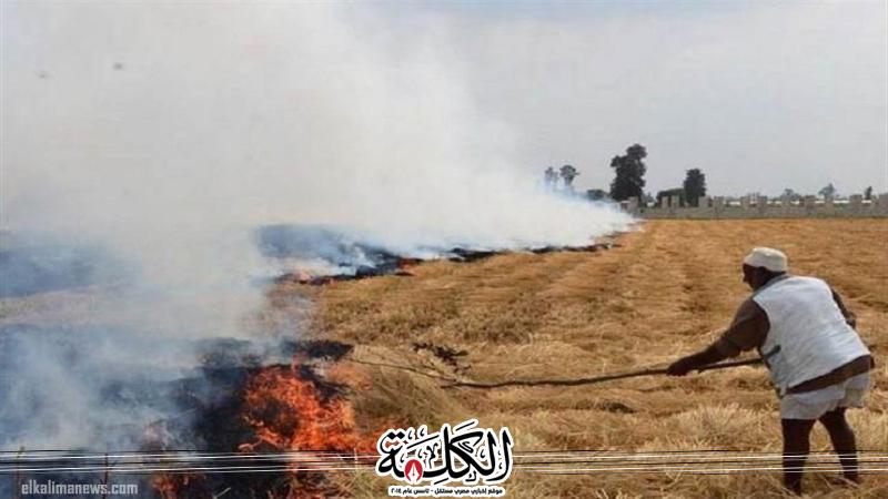 بوابة الكلمة
