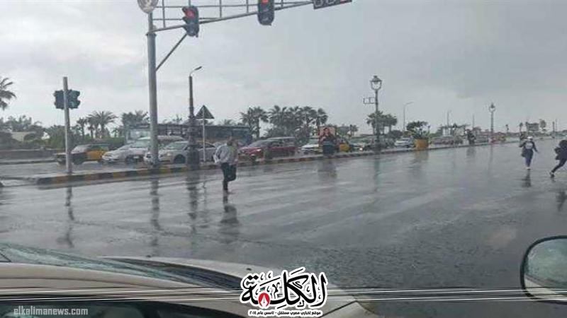 بوابة الكلمة