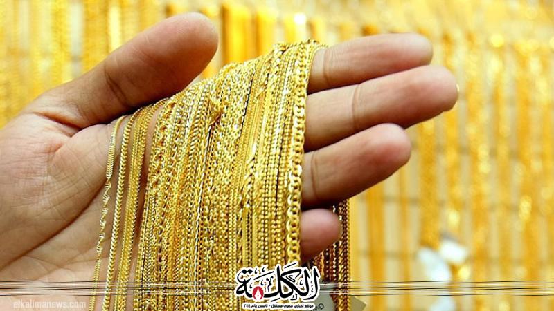 بوابة الكلمة