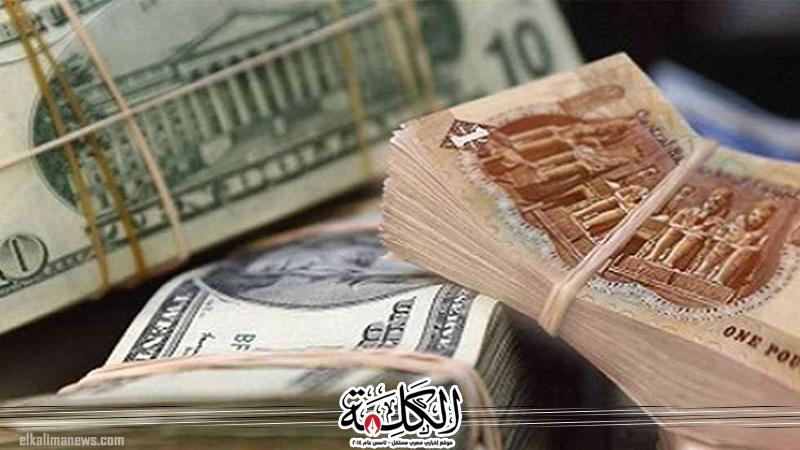 بوابة الكلمة