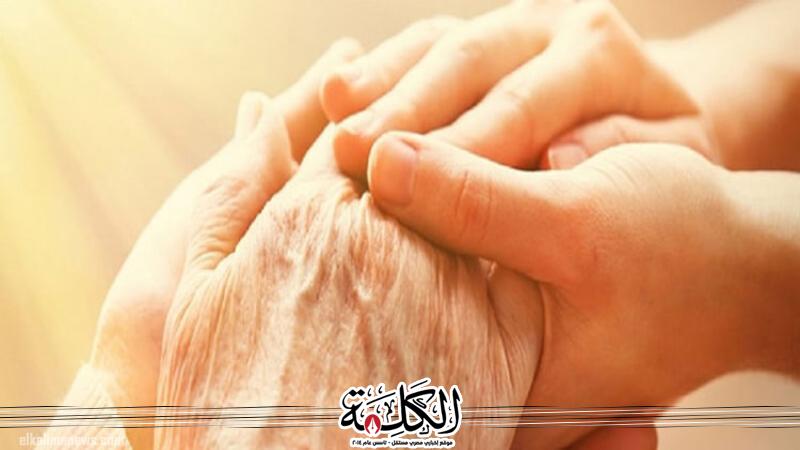 بوابة الكلمة