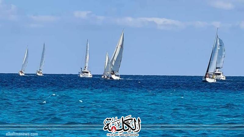 بوابة الكلمة