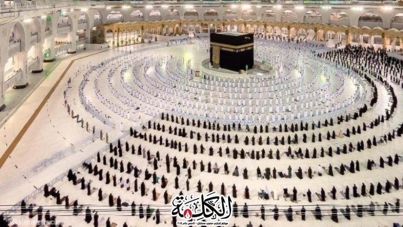 بوابة الكلمة