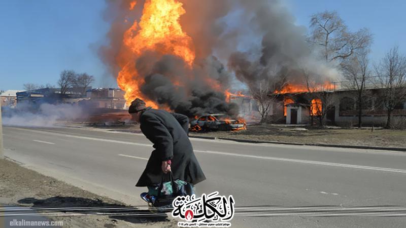 بوابة الكلمة