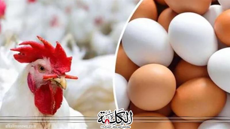 بوابة الكلمة