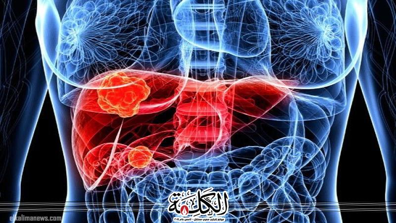 بوابة الكلمة