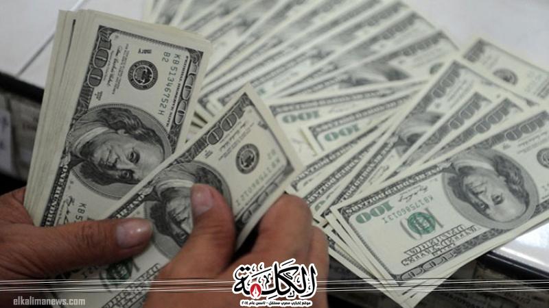 بوابة الكلمة