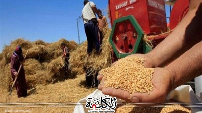 بوابة الكلمة