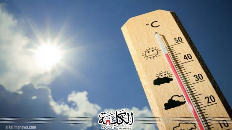 بوابة الكلمة