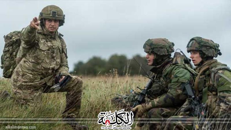 بوابة الكلمة