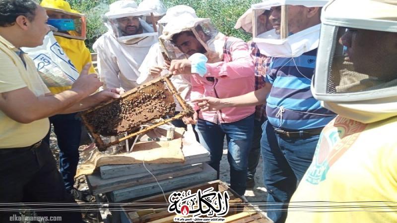 بوابة الكلمة