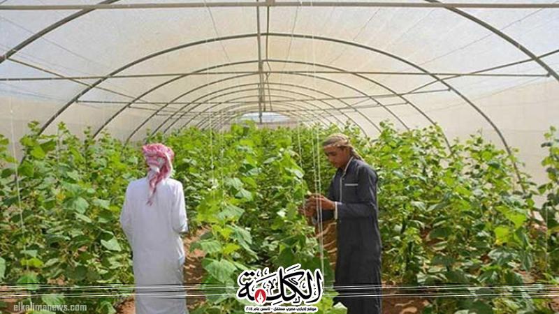 بوابة الكلمة