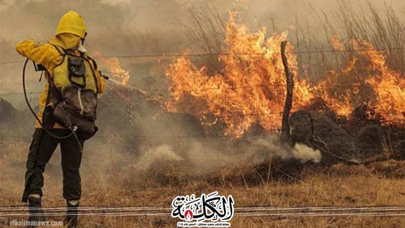 بوابة الكلمة
