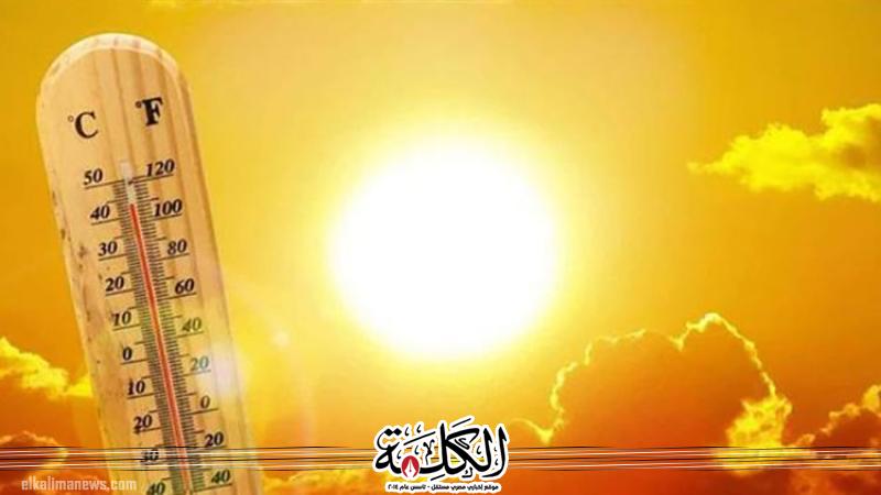 بوابة الكلمة