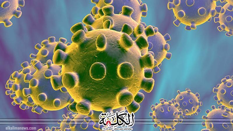 بوابة الكلمة
