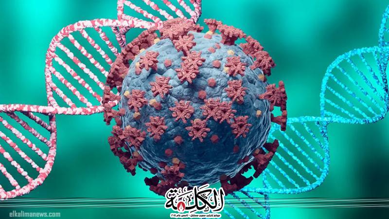 بوابة الكلمة
