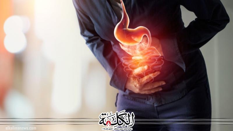 بوابة الكلمة