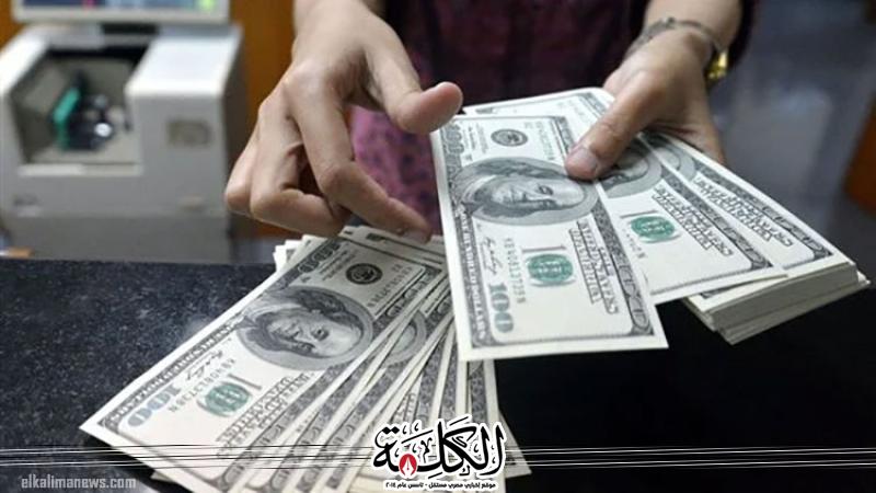 بوابة الكلمة