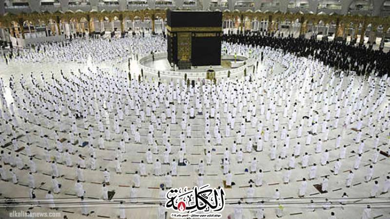 بوابة الكلمة
