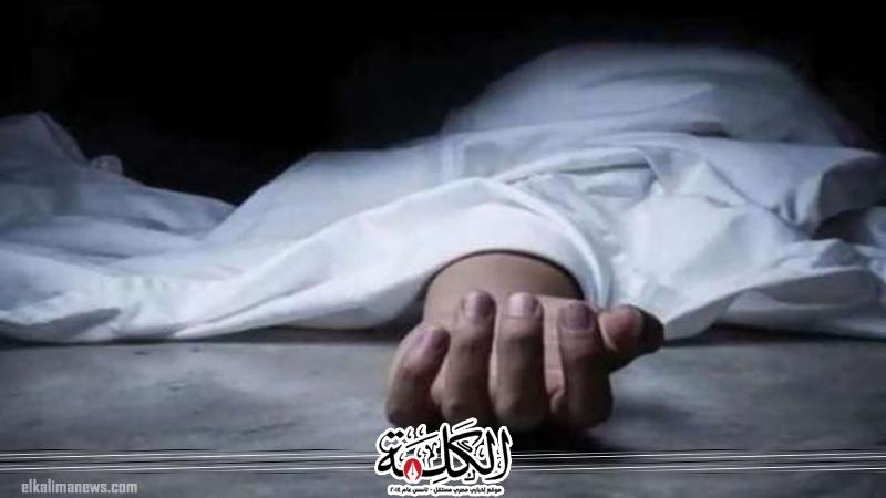بوابة الكلمة