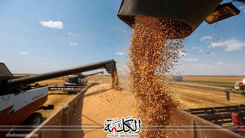 بوابة الكلمة
