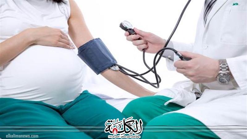 بوابة الكلمة