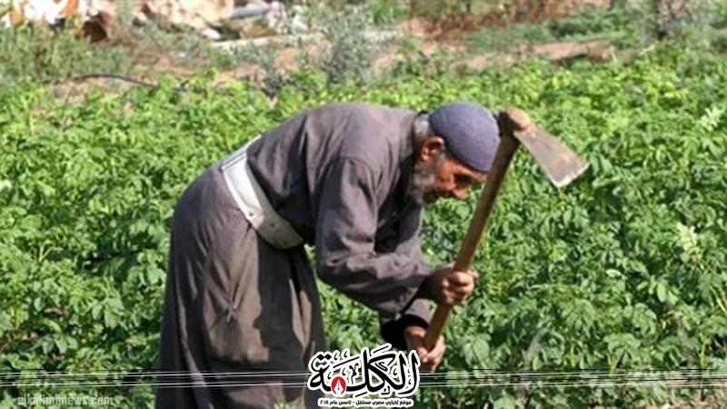 بوابة الكلمة