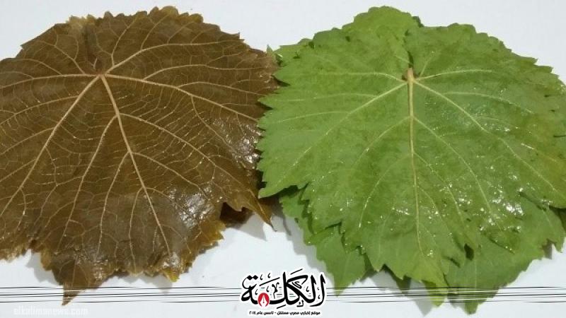 بوابة الكلمة