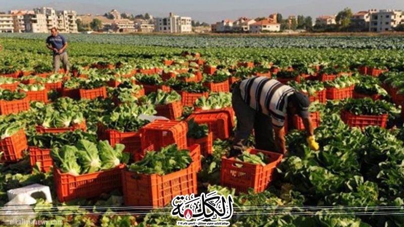 بوابة الكلمة