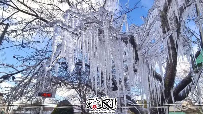 بوابة الكلمة