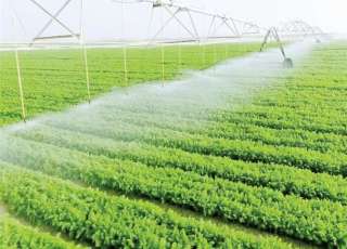 أستاذ مناخ: مشروع مستقبل مصر يزيد إنتاجية المحاصيل والمسطح الأخضر