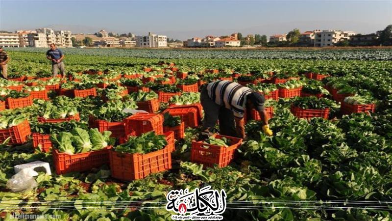 بوابة الكلمة