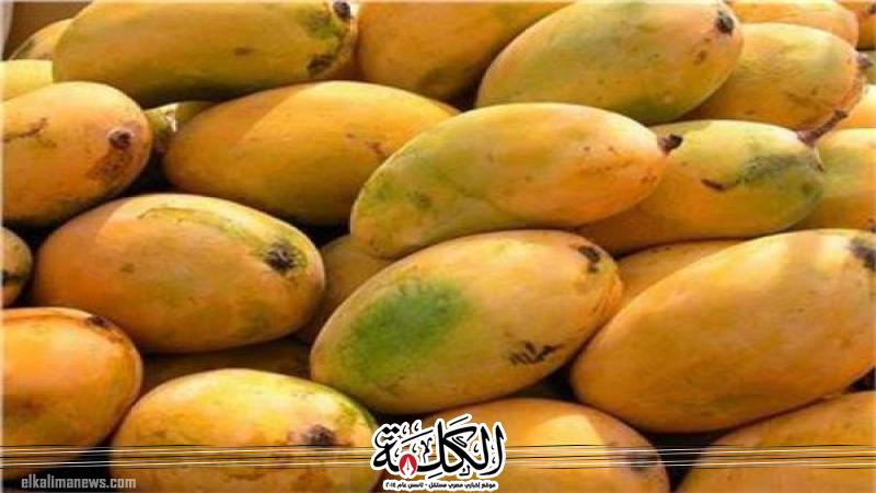 بوابة الكلمة